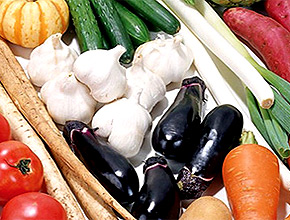 四川鴻門科技有限公司 四川鴻門科技有限公司